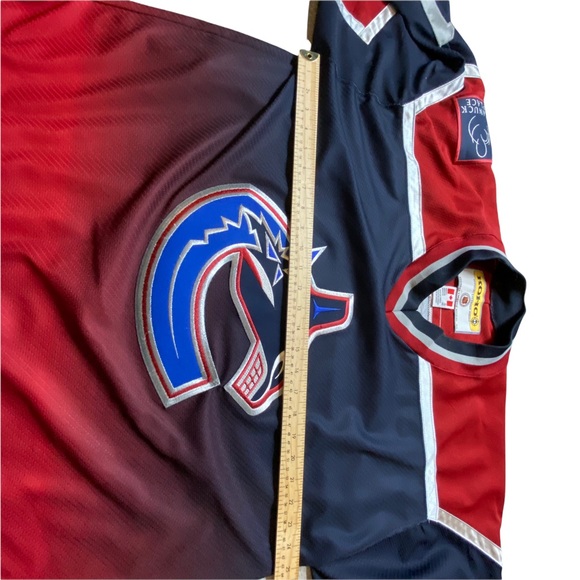 Vintage NHL Vancouver Canucks Roberto Luongo KOHO jersey - Picture 9 of 14